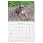 Boxer-Welpen-Kalender 2013 Kalender (Mär 2027)