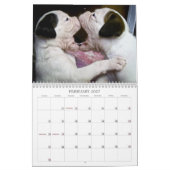 Boxer-Welpen-Kalender 2013 Kalender (Feb 2027)