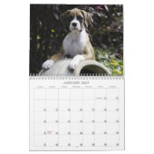 Boxer-Welpen-Kalender 2013 Kalender (Jan 2027)