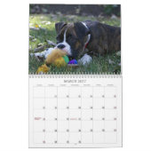 Boxer-Welpen-Kalender 2013 Kalender (Mär 2027)