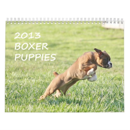 Boxer-Welpen-Kalender 2013 Kalender (Titelbild)