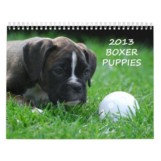Boxer-Welpen-Kalender 2013 Kalender (Titelbild)