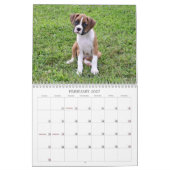 Boxer-Welpen-Kalender 2013 Kalender (Feb 2027)