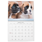 Boxer-Welpen-Kalender 2013 Kalender (Mär 2027)