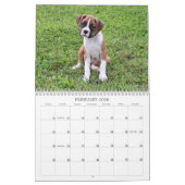 Boxer-Welpen-Kalender 2013 Kalender (Feb 2026)