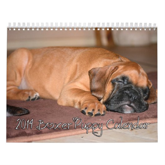 Boxer-Welpen-Kalender 2014 Kalender (Titelbild)
