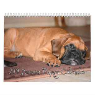 Boxer-Welpen-Kalender 2014 Kalender