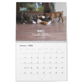Boxer-Welpen-Kalender 2014 Kalender (Jan 2026)