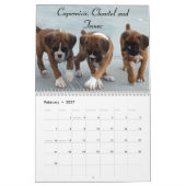 Boxer-Welpen-Kalender 2014 Kalender (Feb 2027)