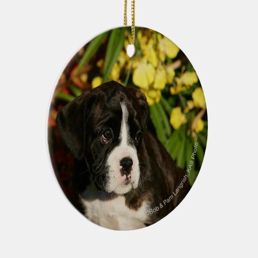 Boxer-Welpen Keramik Ornament (Rechts)