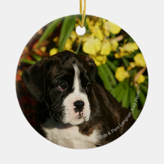 Boxer-Welpen Keramik Ornament (Vorne)