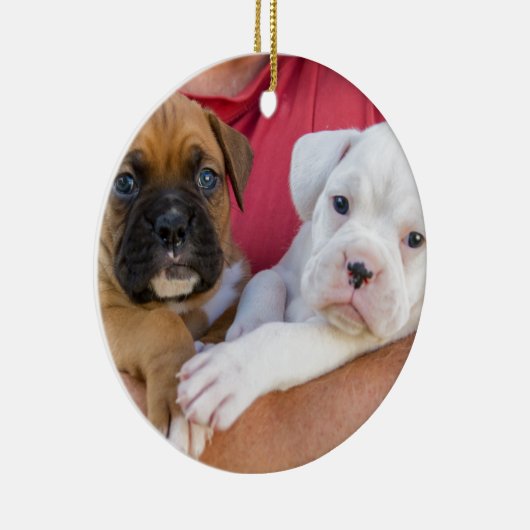 Boxer-Welpen Keramik Ornament (Rechts)