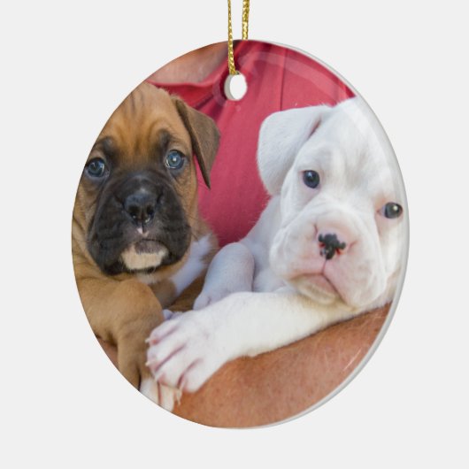 Boxer-Welpen Keramik Ornament (Links)