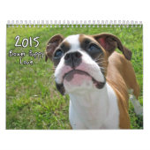 Boxer-Welpen-Liebe-Kalender 2015 Kalender (Titelbild)