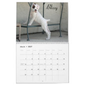 Boxer-Welpen-Liebe-Kalender 2015 Kalender (Mär 2027)