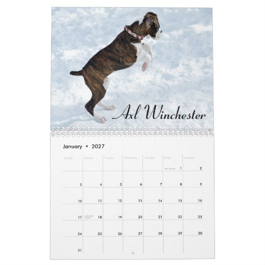 Boxer-Welpen-Liebe-Kalender 2015 Kalender (Jan 2027)