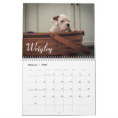 Boxer-Welpen-Liebe-Kalender 2015 Kalender (Feb 2027)