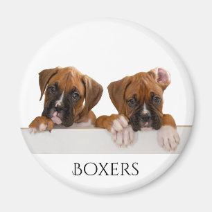 Boxer-Welpen Magnet