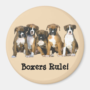 Boxer-Welpen-Magnet Magnet