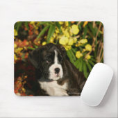 Boxer-Welpen Mousepad (Mit Mouse)