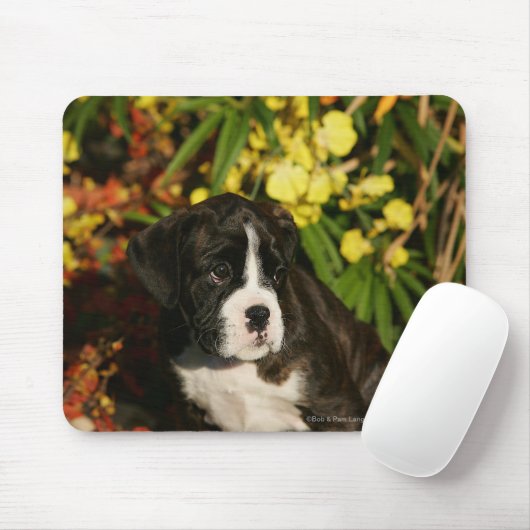 Boxer-Welpen Mousepad (Mit Mouse)