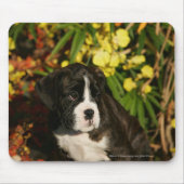 Boxer-Welpen Mousepad (Vorne)