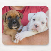 Boxer-Welpen Mousepad (Vorne)