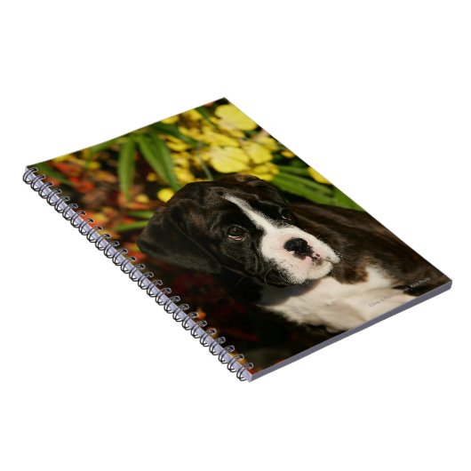 Boxer-Welpen Notizblock (Rechte Seite)