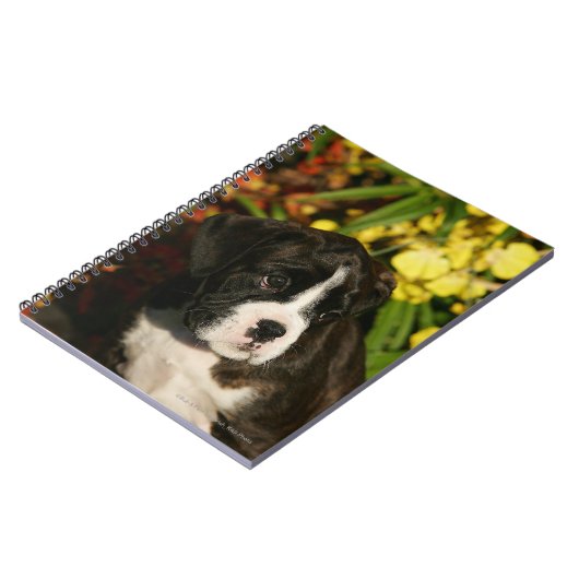 Boxer-Welpen Notizblock (Linke Seite)