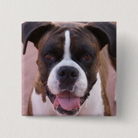 Boxer-Welpen-Quadrat-Button Button (Vorderseite)
