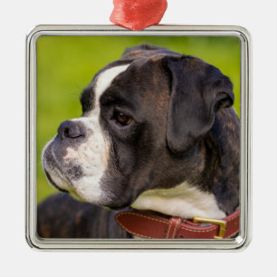 Boxer-Welpenhund Ornament Aus Metall