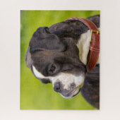 Boxer-Welpenhund Puzzle (Vertikal)