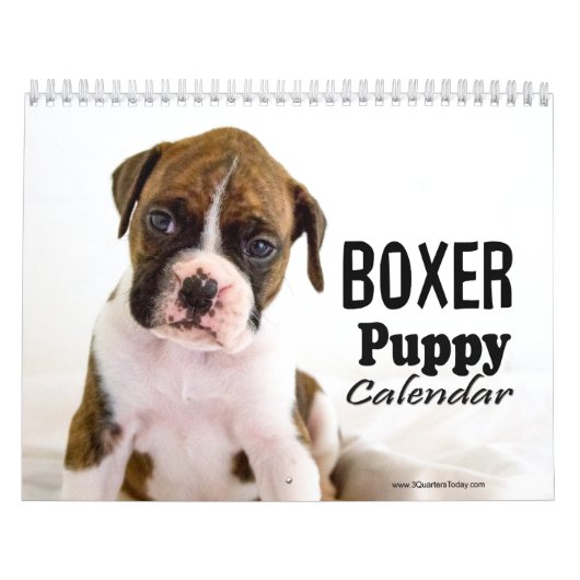Boxer Welpenkalender Kalender (Titelbild)