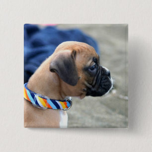 Boxer-Welpenknopf Button