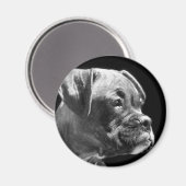Boxer Welpenmagnet Magnet (Vorderseite/Rückseite)