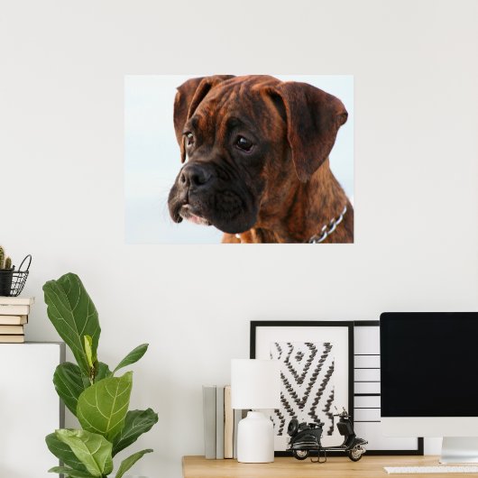 Boxer Welpenposter Poster (Heimbüro)