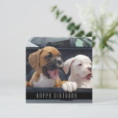 Boxer Welppies Happy Birthday Hunde Ankündigung (Stehend Vorderseite)