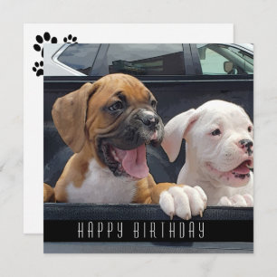Boxer Welppies Happy Birthday Hunde Ankündigung