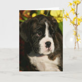 Boxer Welppies Karte (Gelbe Blume)