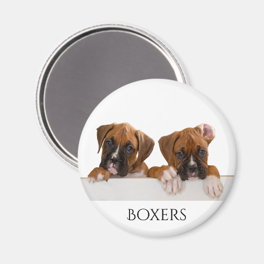 Boxer Welppies Magnet (Vorderseite/Rückseite)