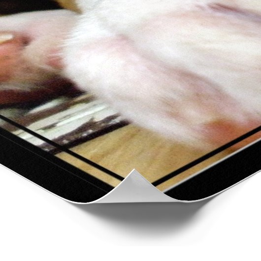 Boxer Welppy-Leinwand drucken Poster (Ecke)