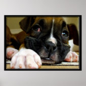 Boxer Welppy-Leinwand drucken Poster (Vorne)
