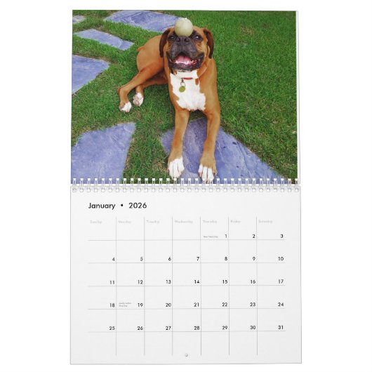 Boxer wollen gerade, um Kalender des Spaß-2017 zu (Jan 2026)