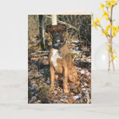 Boxer Woods Walk Karte (Gelbe Blume)