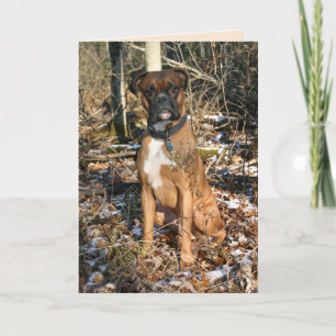 Boxer Woods Walk Karte
