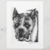 Boxer Zeichnend Flyer (Vorne)