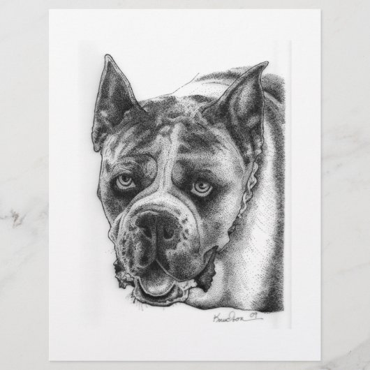 Boxer Zeichnend Flyer (Vorne)