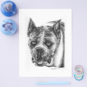 Boxer Zeichnend Flyer (Einzeln)