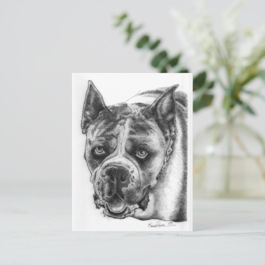 Boxer Zeichnend Postkarte (Stehend Vorderseite)