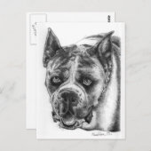 Boxer Zeichnend Postkarte (Vorne/Hinten)